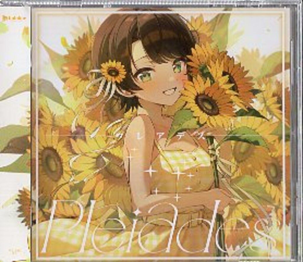 ネット/配信者CD 大空スバル Pleiades