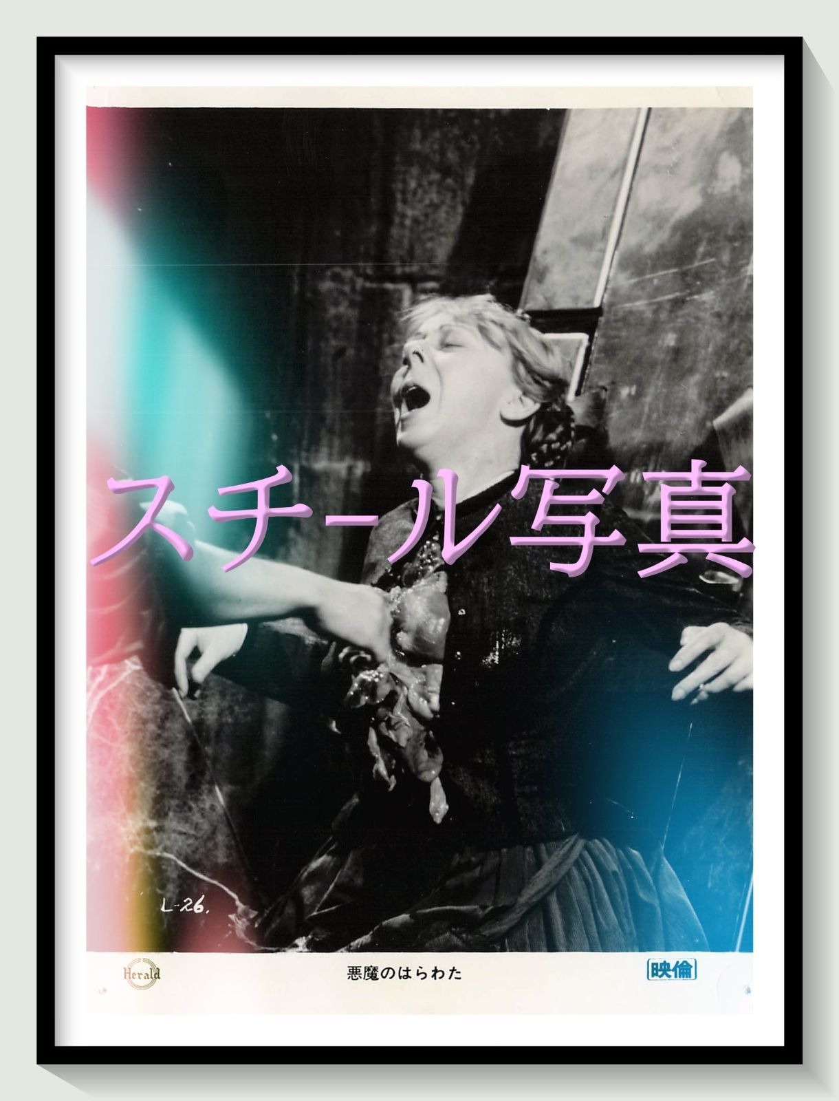 t『悪魔のはらわた』1974年映画オリジナルスチール写真 pt002205