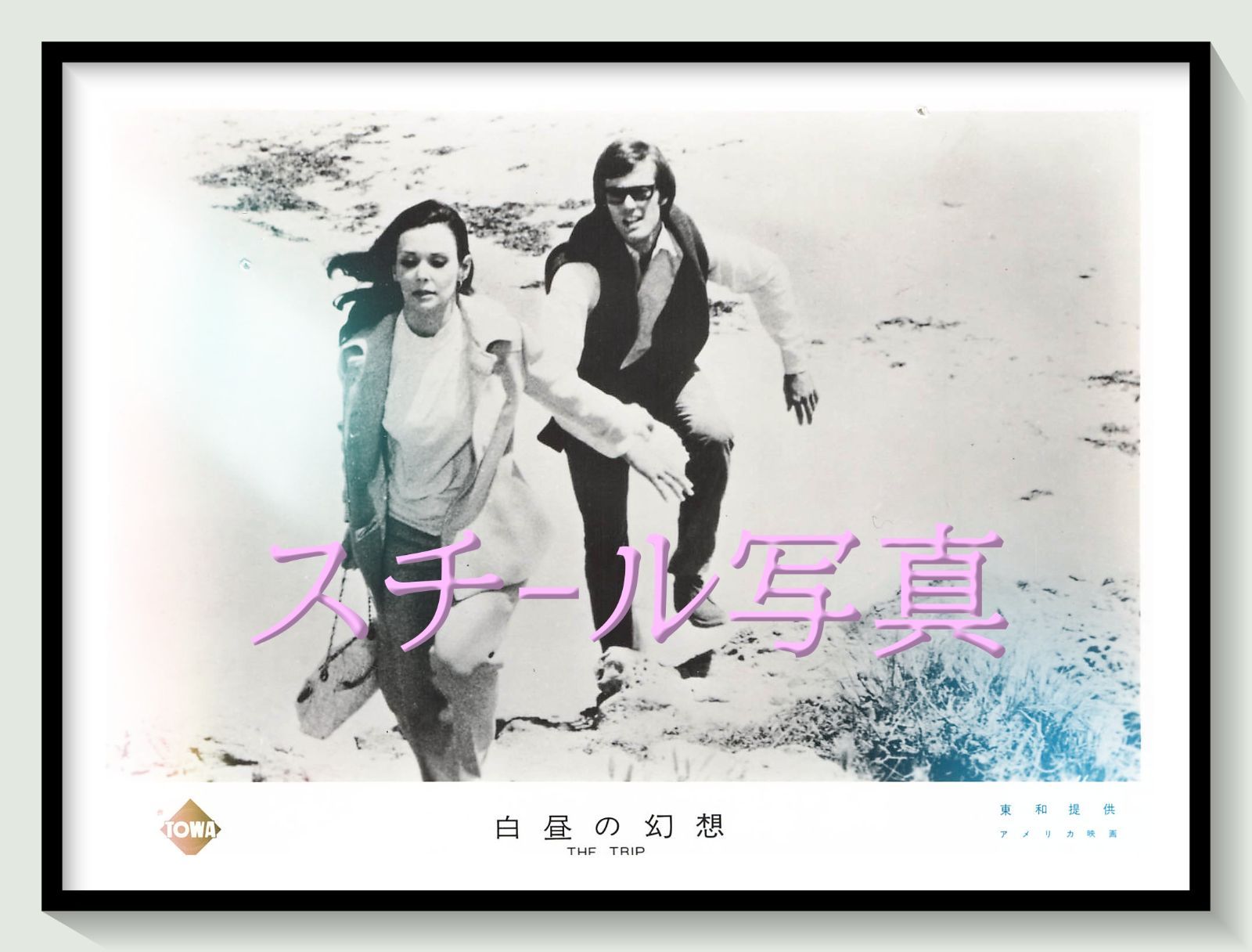 蓜島伸彦（はいじまのぶひこ）の絵画作品。 青い鳥のシルエット 蓜島