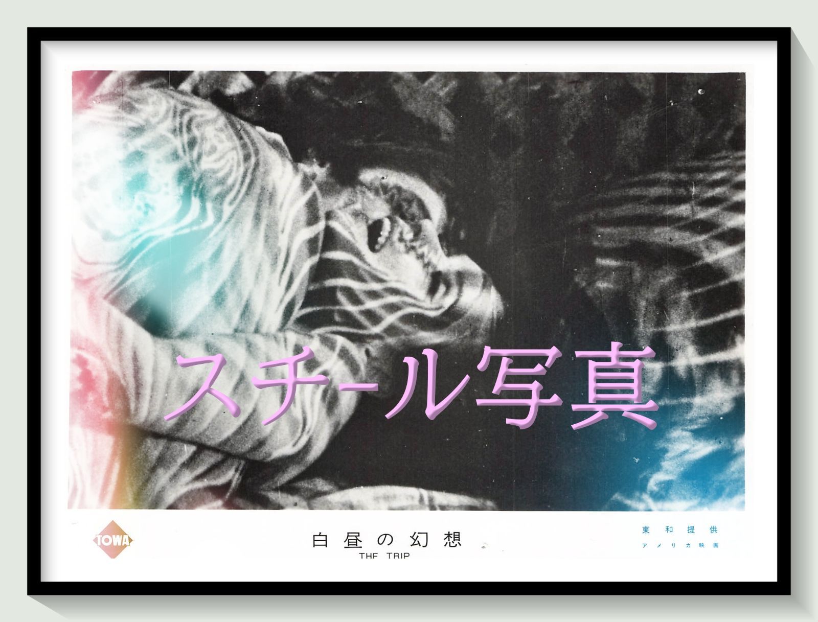 t『白昼の幻想』1968年映画オリジナルスチール写真　pt002452　ロジャー・コーマン ピーター・フォンダ デニス・ホッパー ブルース・ダーン スーザン・ストラスバーグ ピーター・ボグダノヴィッチ 7,000円