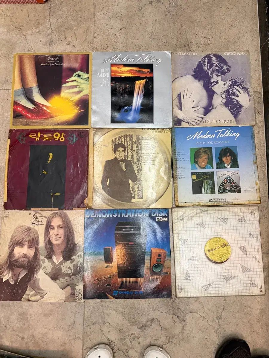 Lp 36 腸 まとめ売り