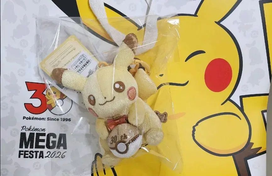 ポケモン ピカチュウ 30周年 ぬいぐるみ キーホルダー