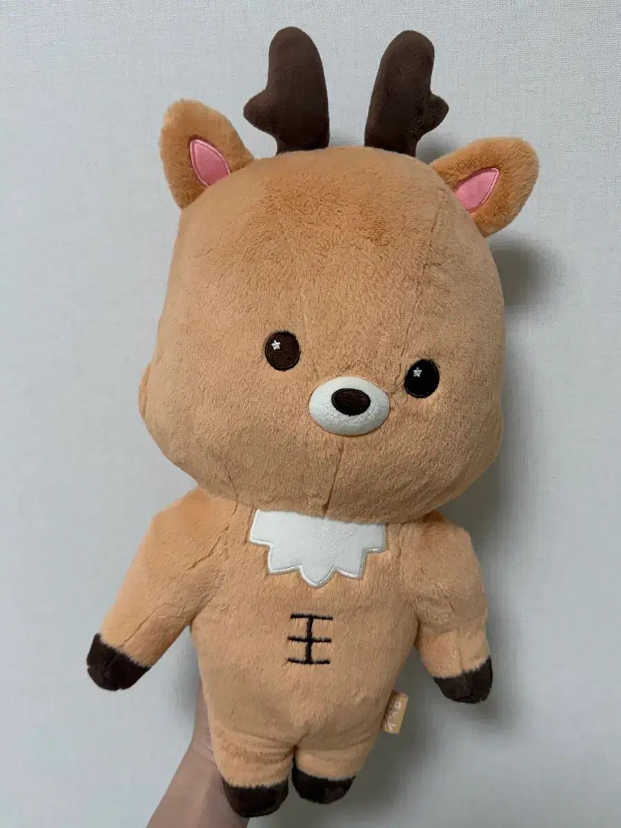 RIIZE ライズ ソンチャン ウラクボム 40cm ぬいぐるみ