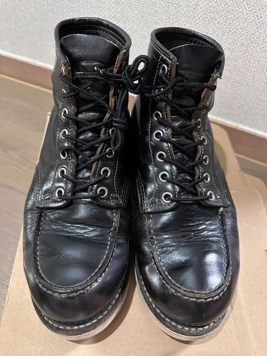 レッドウィング 桃井 愛莉 セター 9874 ブラック