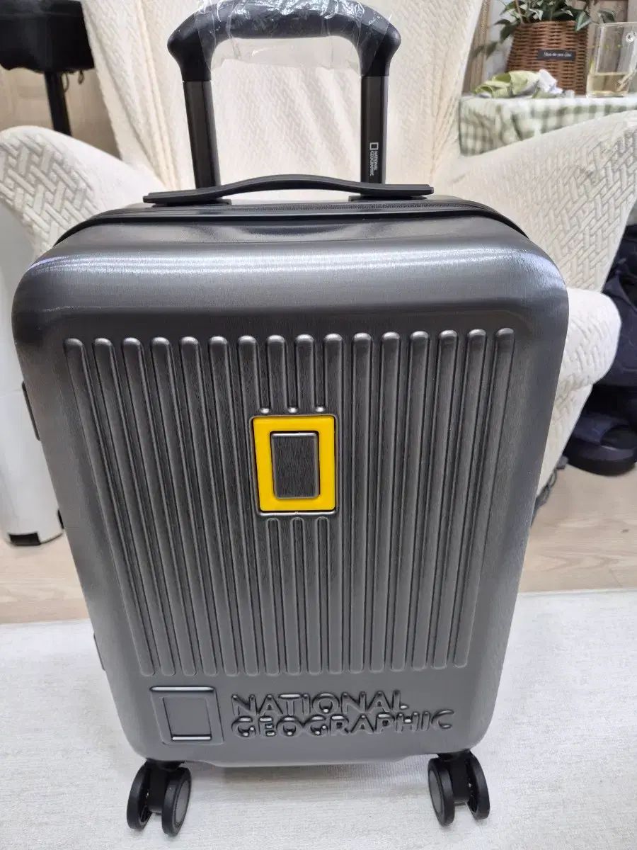ナショナルジオグラフィック キャリアー トレビア 20インチ 機内持ち込み 新品 (チャコール)