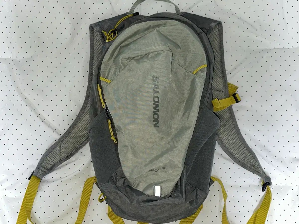 SALOMON サロモン トレイルブレーザー 10 グレー カーキ