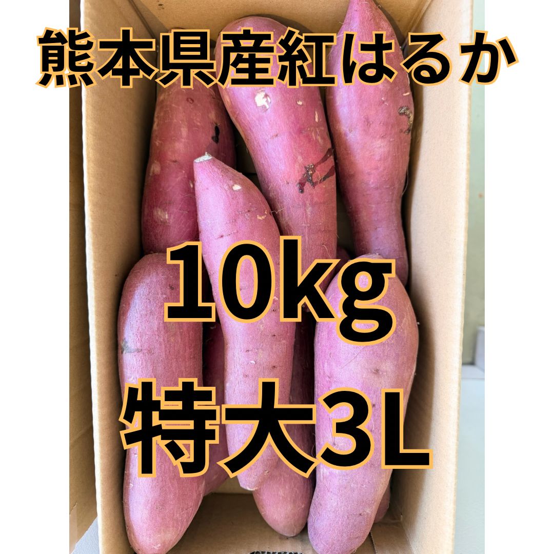 熊本県産紅はるか 10kg 3L 秀品 常温発送 - メルカリ