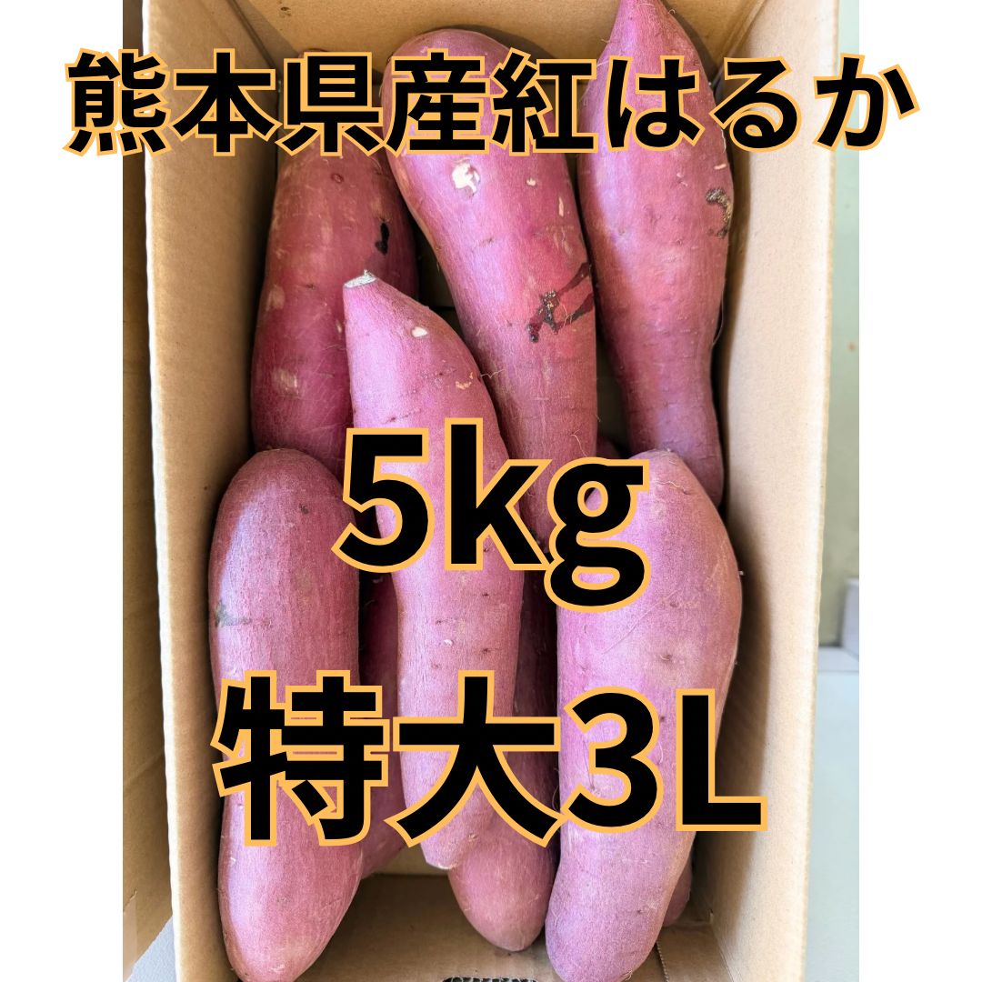 熊本県産さつまいも 紅はるか 自然栽培 20kg 専用ページ来週木曜日発送
