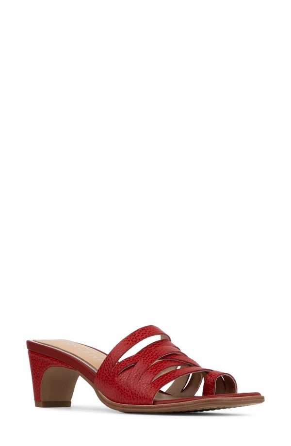 ドナルドプリネール レディース シューズ ヒール サンダル Donald Pliner Dayvi Toe Loop Sandal Tomato
