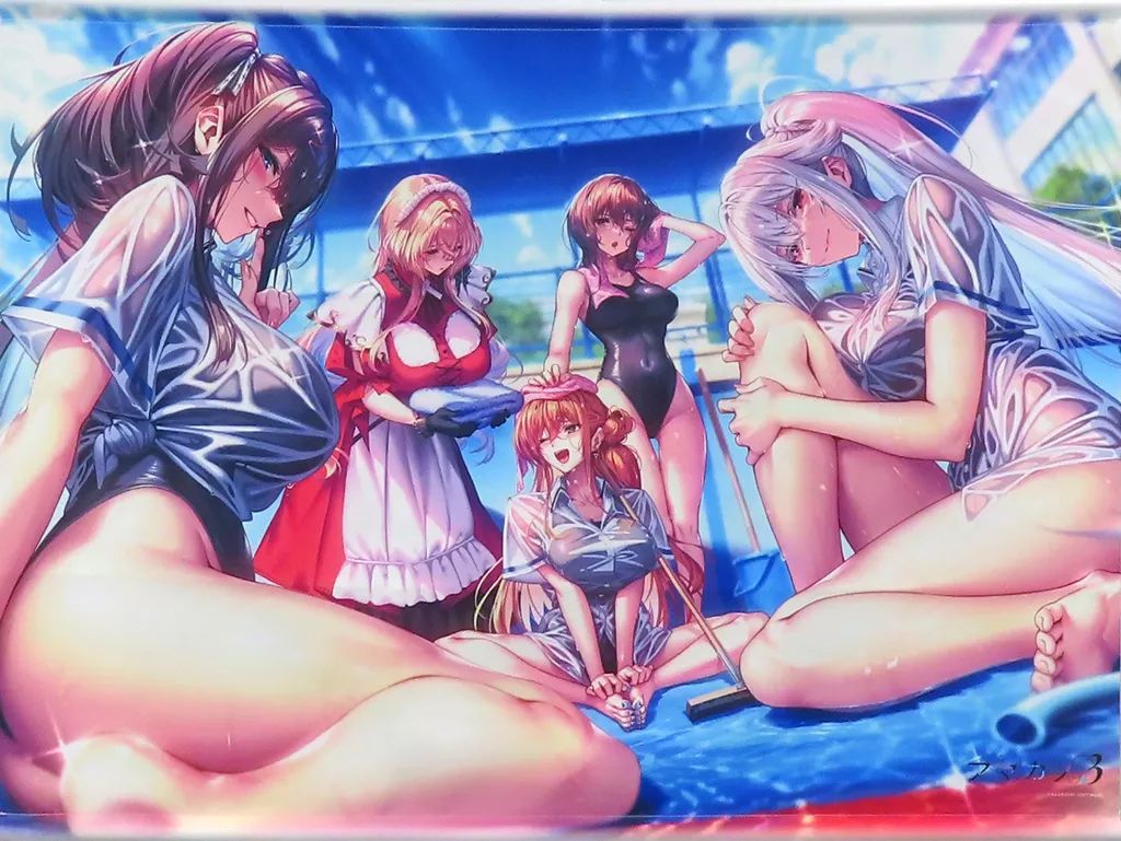 【中古】タペストリー パッケージビジュアル オリジナルB2Wスエードタペストリー 「PCソフト アマカノ3」 あみあみ購入特典