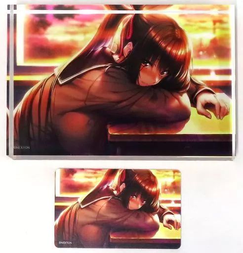 【中古】置物・装飾品 黒姫結灯 出会いは夕暮れの眠りから アクリルオーナメント 「アマカノ2」 43,204円