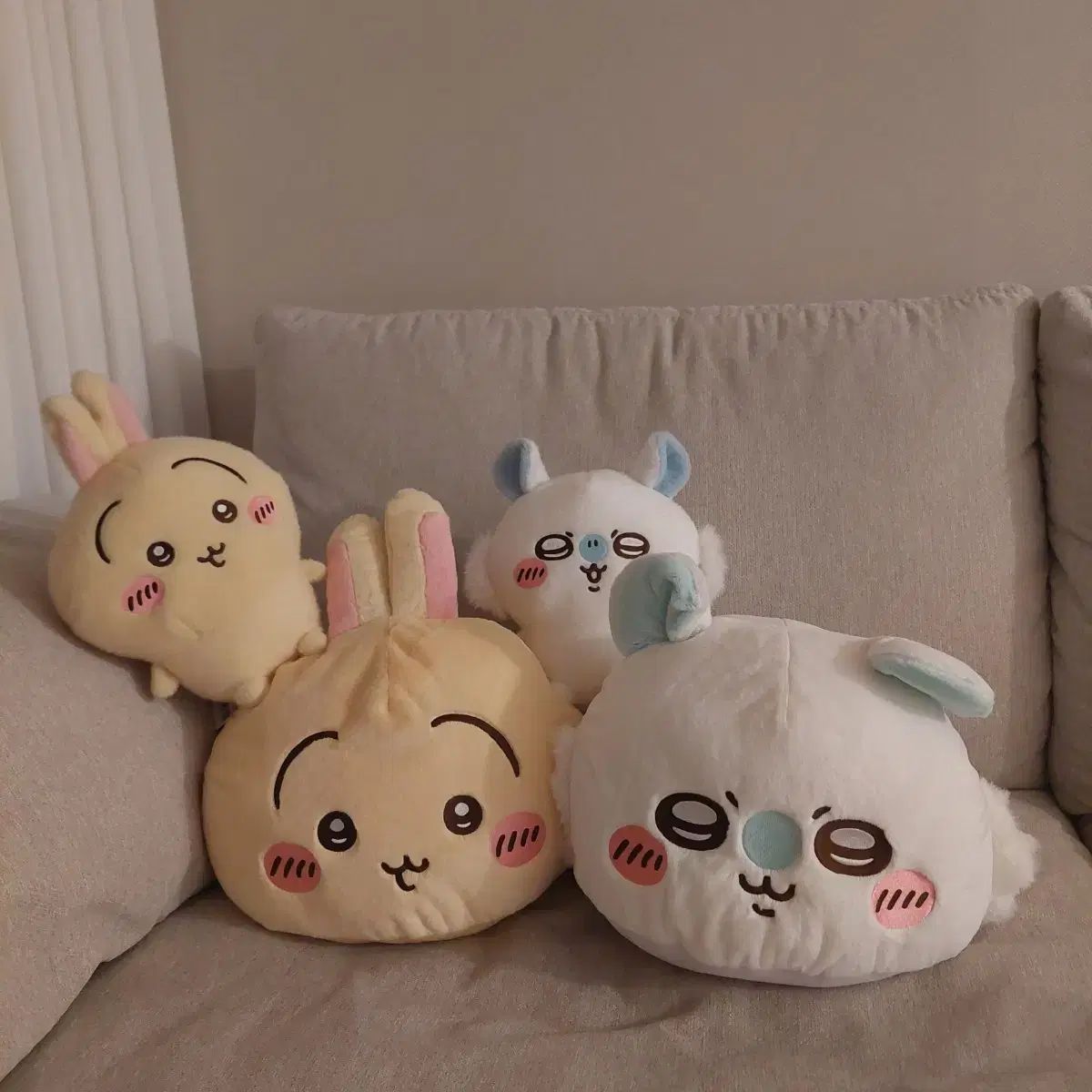뽀송うさぎ予約