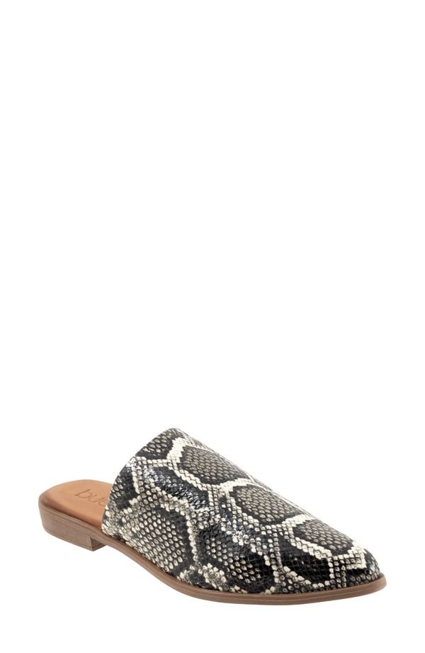 ブエノ レディース シューズ パンプス Bueno Bambi Pointed Toe Mule Black Snake ブラック