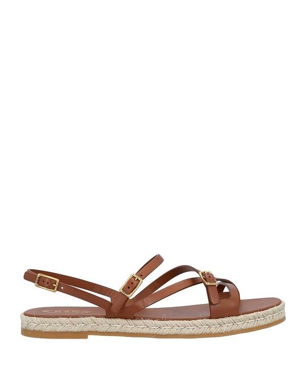 トッズ レディース シューズ スリッポン・ローファー エスパドリーユ TODS Brown ブラウン