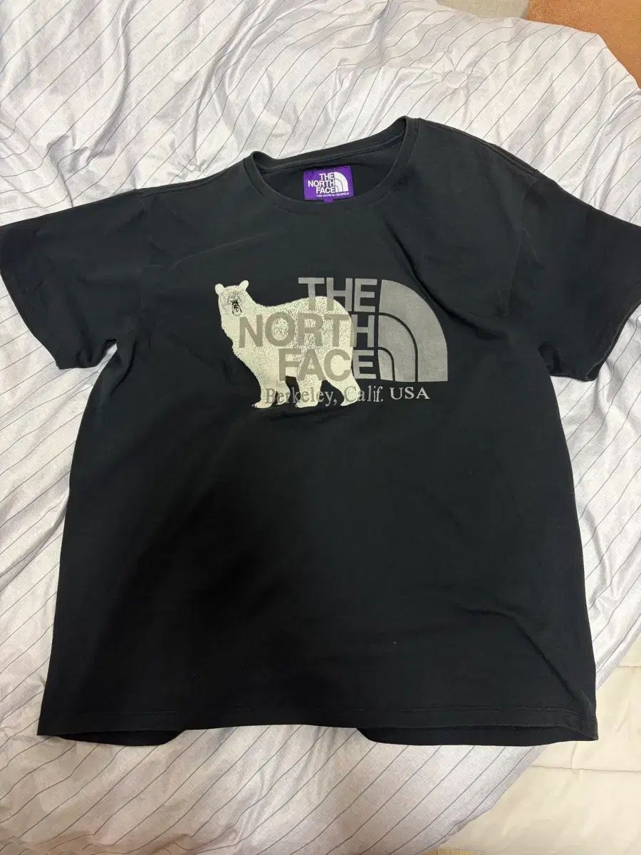 THE NORTH FACE パープルラベル Tシャツ