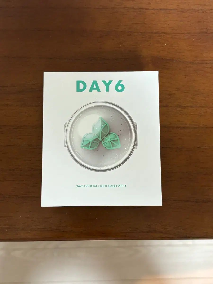 DAY6(デイシックス) OFFICIAL LIGHT BAND Day6 ペンライト ver 3