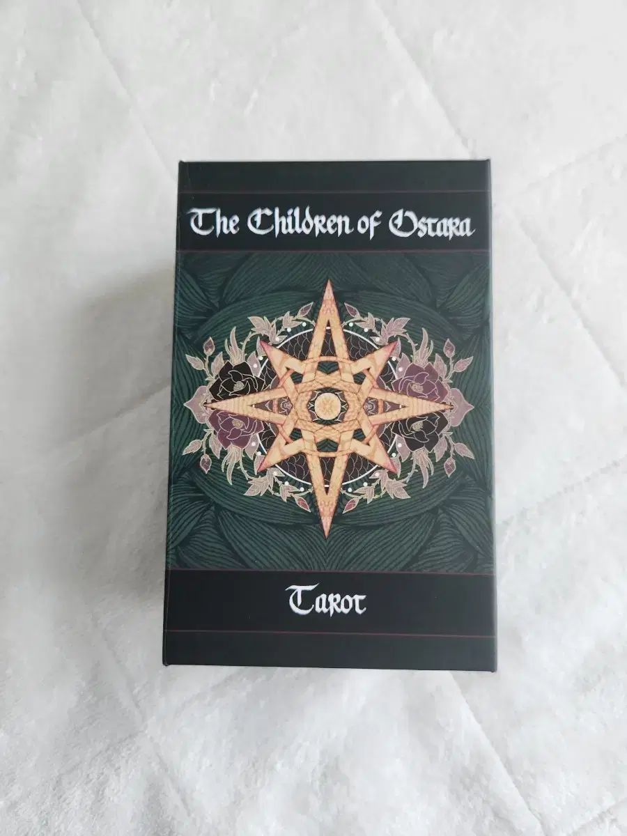 オスタラの子どもたち (リータの子供たち2番目) ブラックEDITION タロットカード 出品
