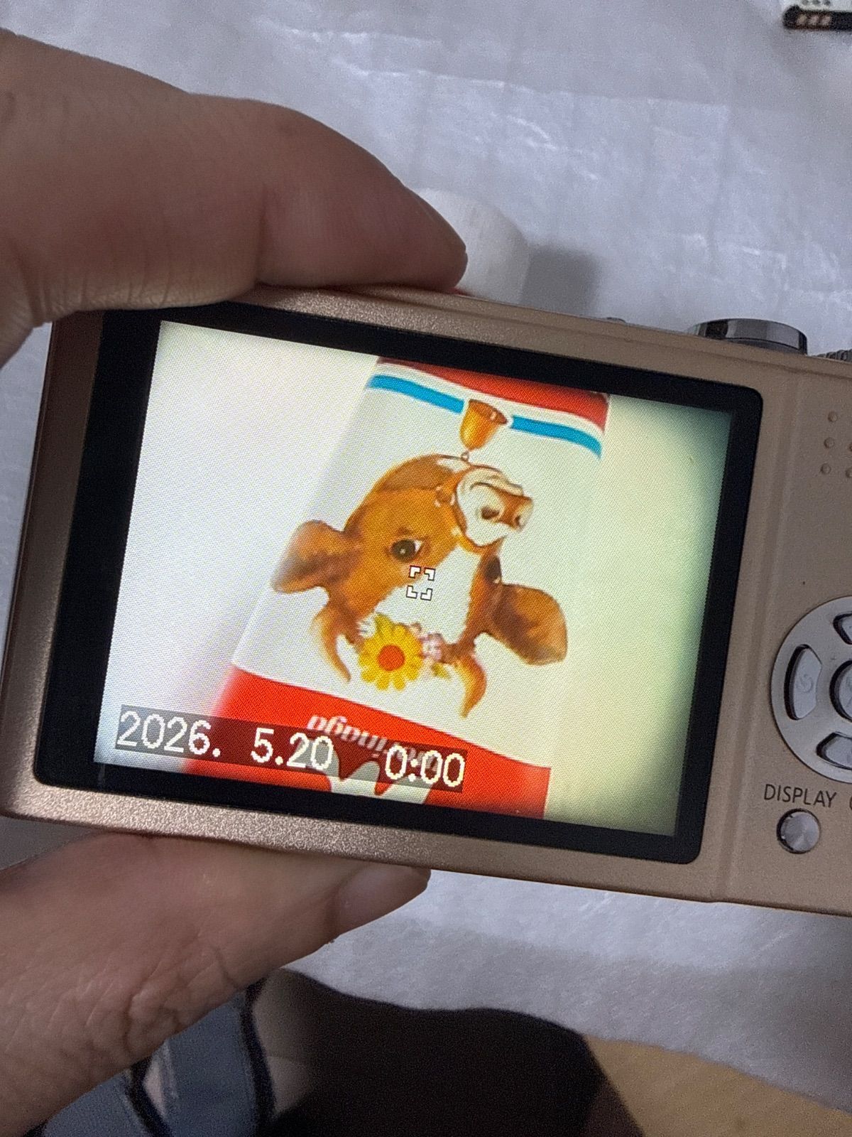 ^*^様 デジカメ 超解像技術