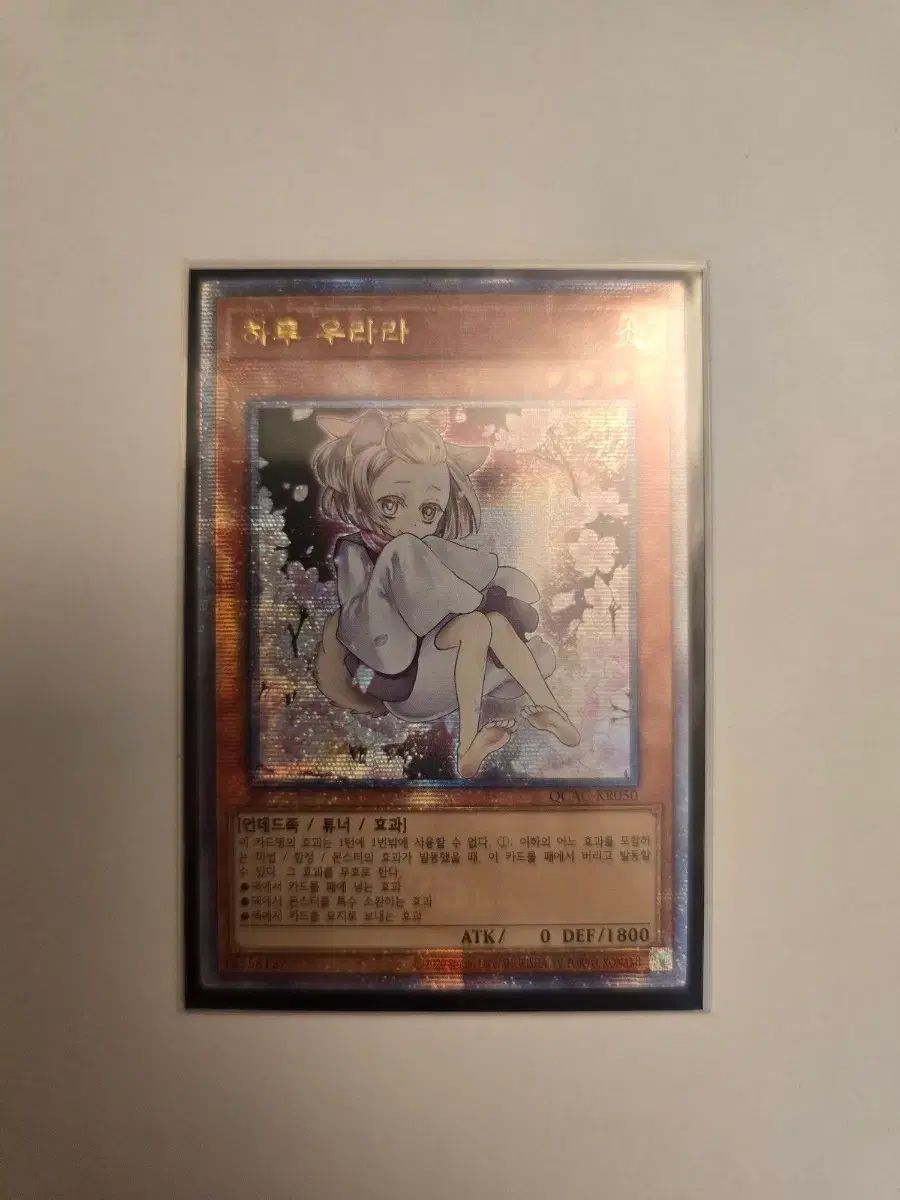 遊☆戯☆王 ハル ウララ 쿼싴