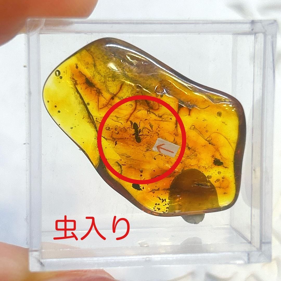 【E19717】 虫入り琥珀 虫入り 琥珀 こはく コハク 化石 虫入りコハク リトアニア産