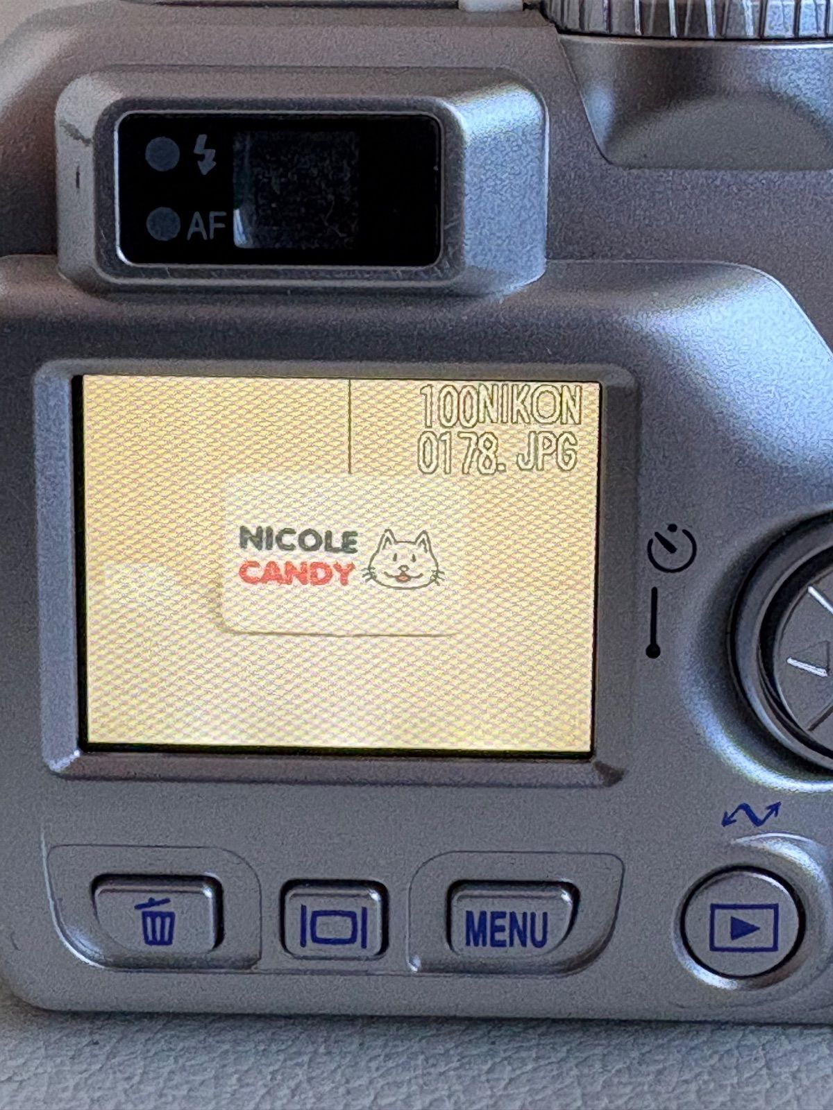 Nikon COOLPIX 3100 オールドコンデジ【動作品】 【公式通販】