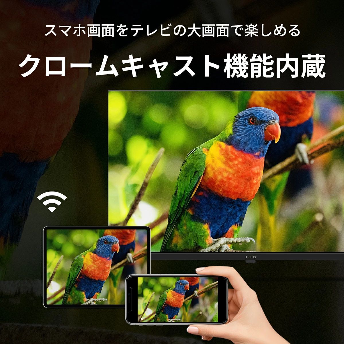 Philips テレビ 43型 ブルーライトカット チューナーレス 4K モニター
