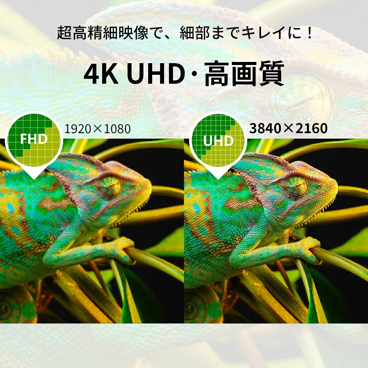 Philips テレビ 43型 ブルーライトカット チューナーレス 4K モニター