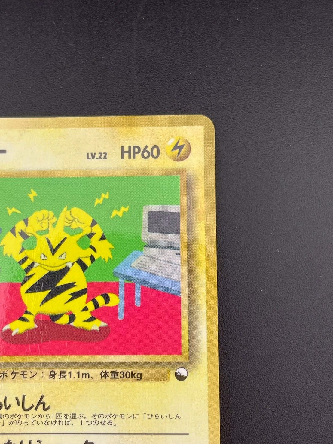 中古品】エレブーLV.22 No.125 ○ 拡張シート 赤版 旧裏 ポケモン