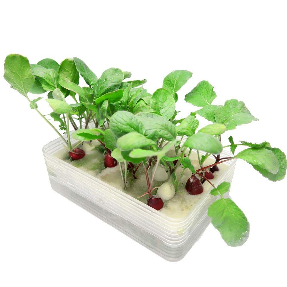 【新品】ミニ水耕菜園キットRA ラディッシュ クリア 20×13×6cm 土を使わず、お水と液体肥料で育てる水耕栽培キット LFS-325 bd913d69
