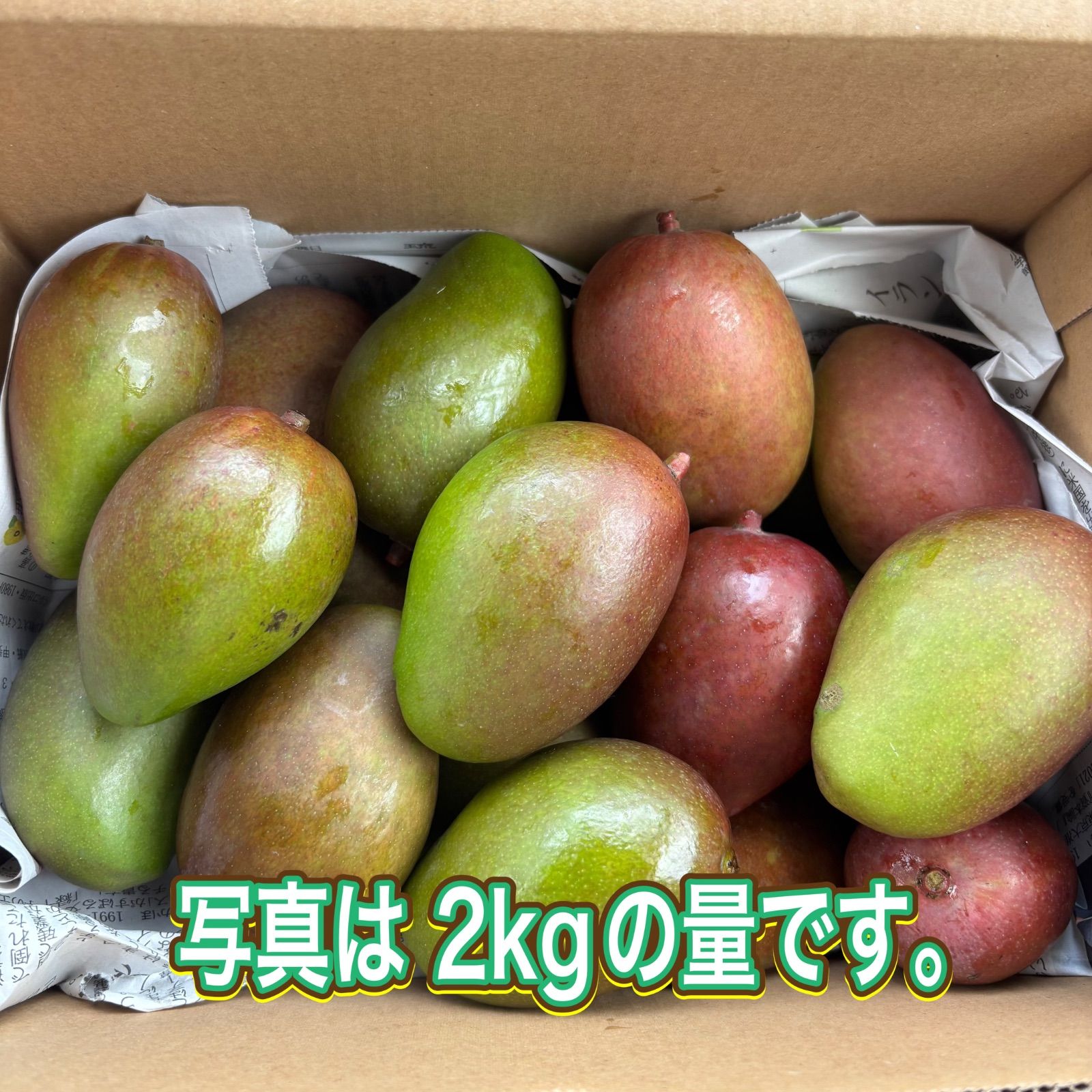 沖縄県産 摘果マンゴー1.4kg｜青マンゴー - メルカリ