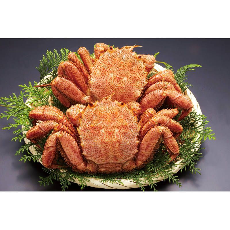 北海道産ボイル毛がに約320g×2尾 320*2【産地から直送】