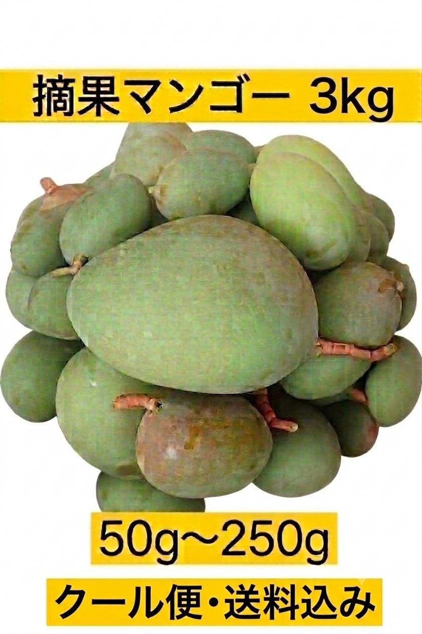 クール便・送料込:摘果マンゴー 3kg（宮古島産) - メルカリ
