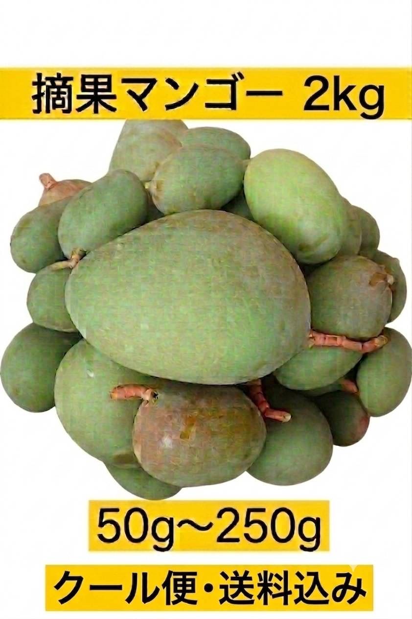 摘果マンゴー 2kg 宮古島産 クール便・送料込 - メルカリ