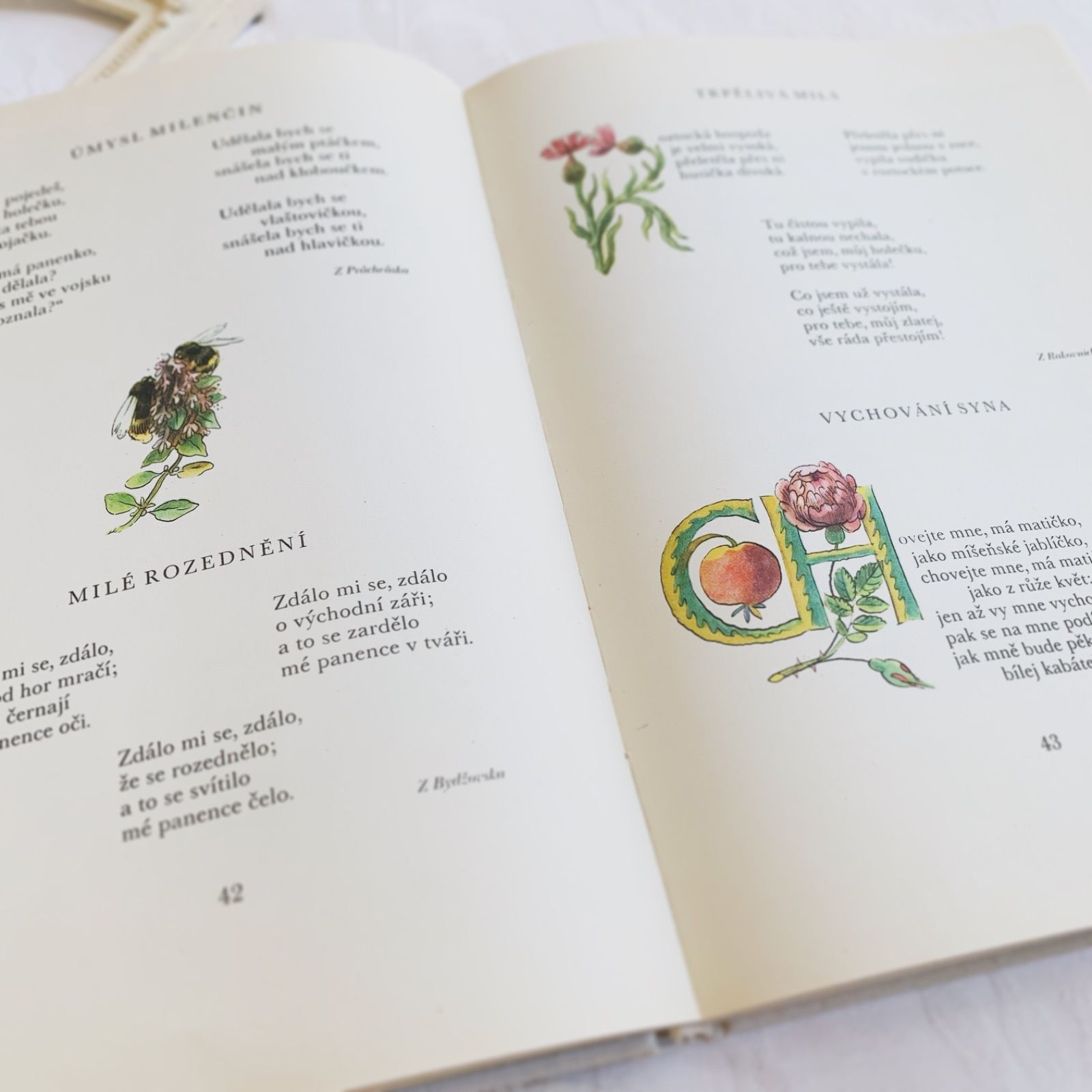 1973年 VÁCLAV KARELによる叙情的な挿画も美しいチェコビンテージ本 