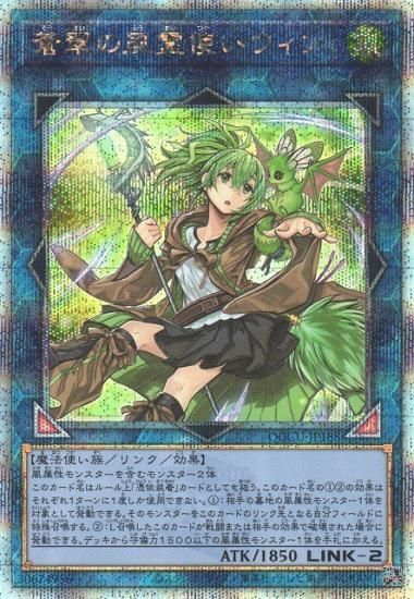 遊戯王 蒼翠の風霊使いウィン 25thシークレットレア QCCU-JP188 プレイ