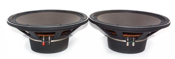 TAD PIONEER タッド パイオニア TL-1601 TL-1601a 40cm コーン型 ウーファーユニット ペア