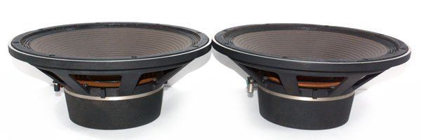 TAD PIONEER タッド パイオニア TL-1601 TL-1601a 40cm コーン型 ウーファーユニット ペア