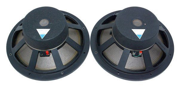 TAD PIONEER タッド パイオニア TL-1601 TL-1601a 40cm コーン型 ウーファーユニット ペア