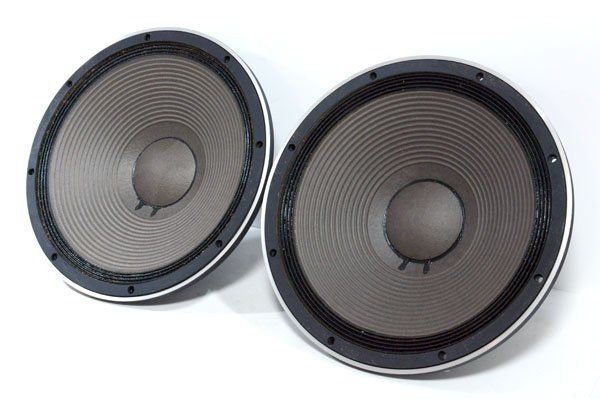 TAD PIONEER タッド パイオニア TL-1601 TL-1601a 40cm コーン型 ウーファーユニット ペア