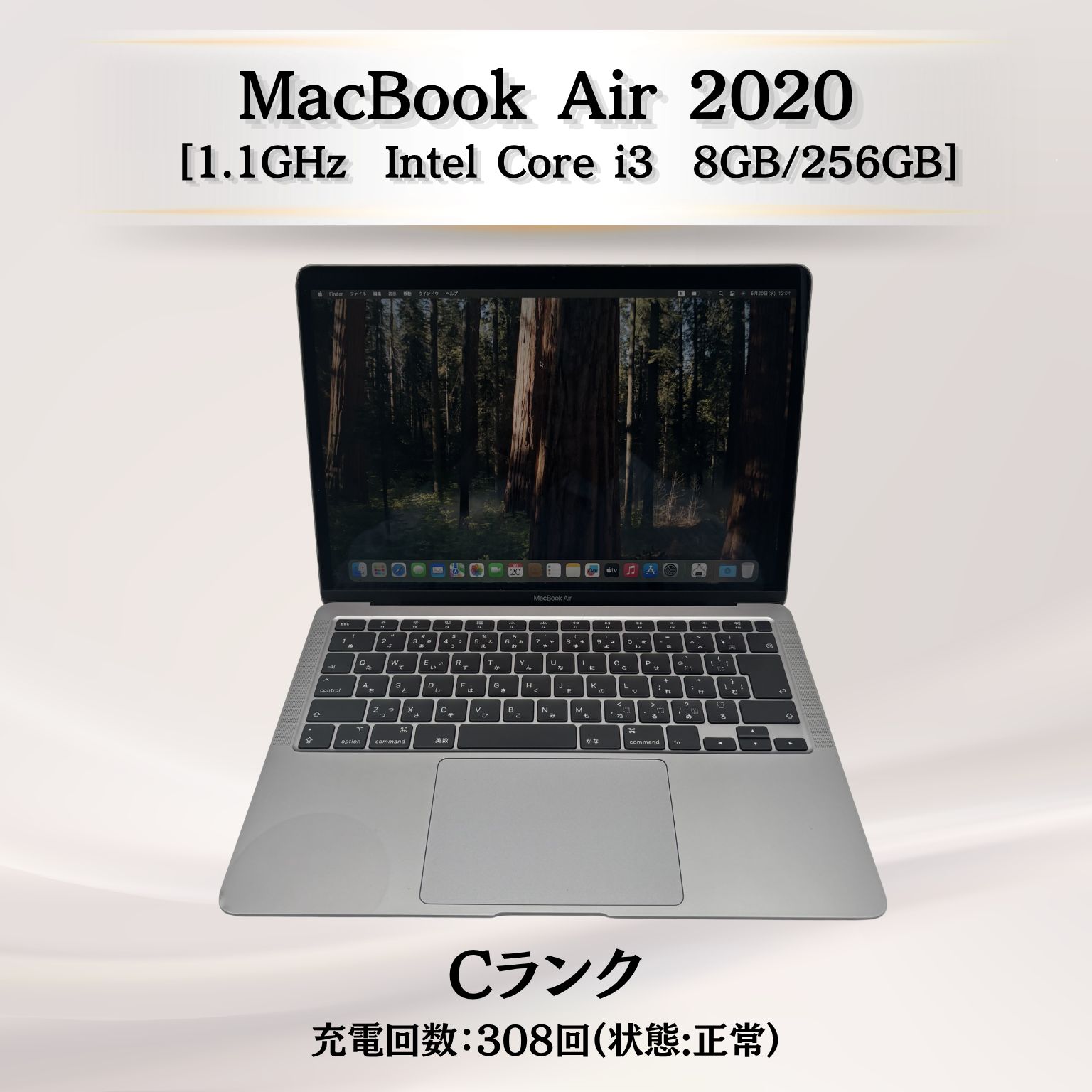 MacBook Air 2020　1.1GHz Intel Core i3 8GB/256GB　スペースグレイ【管理番号08484】