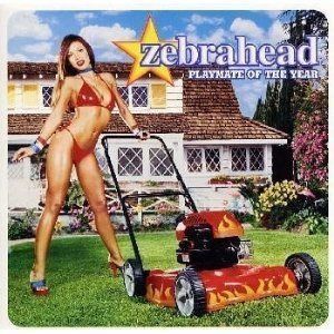 【CD】プレイメイト・オブ・ザ・イヤー