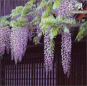 【CD】長唄