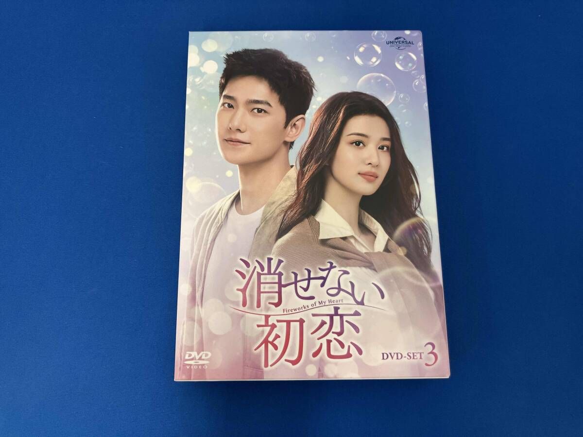 DVD 消せない初恋 DVD-SET3