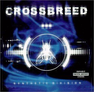 【CD】Synthetic Division