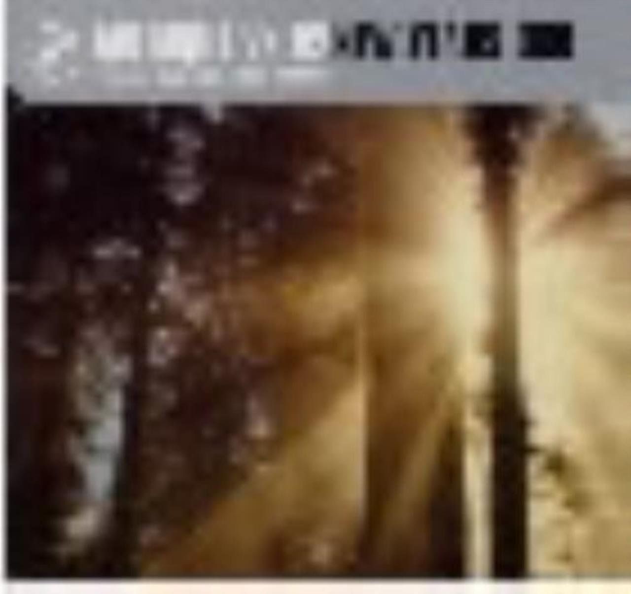 【CD】New Year’s Dub