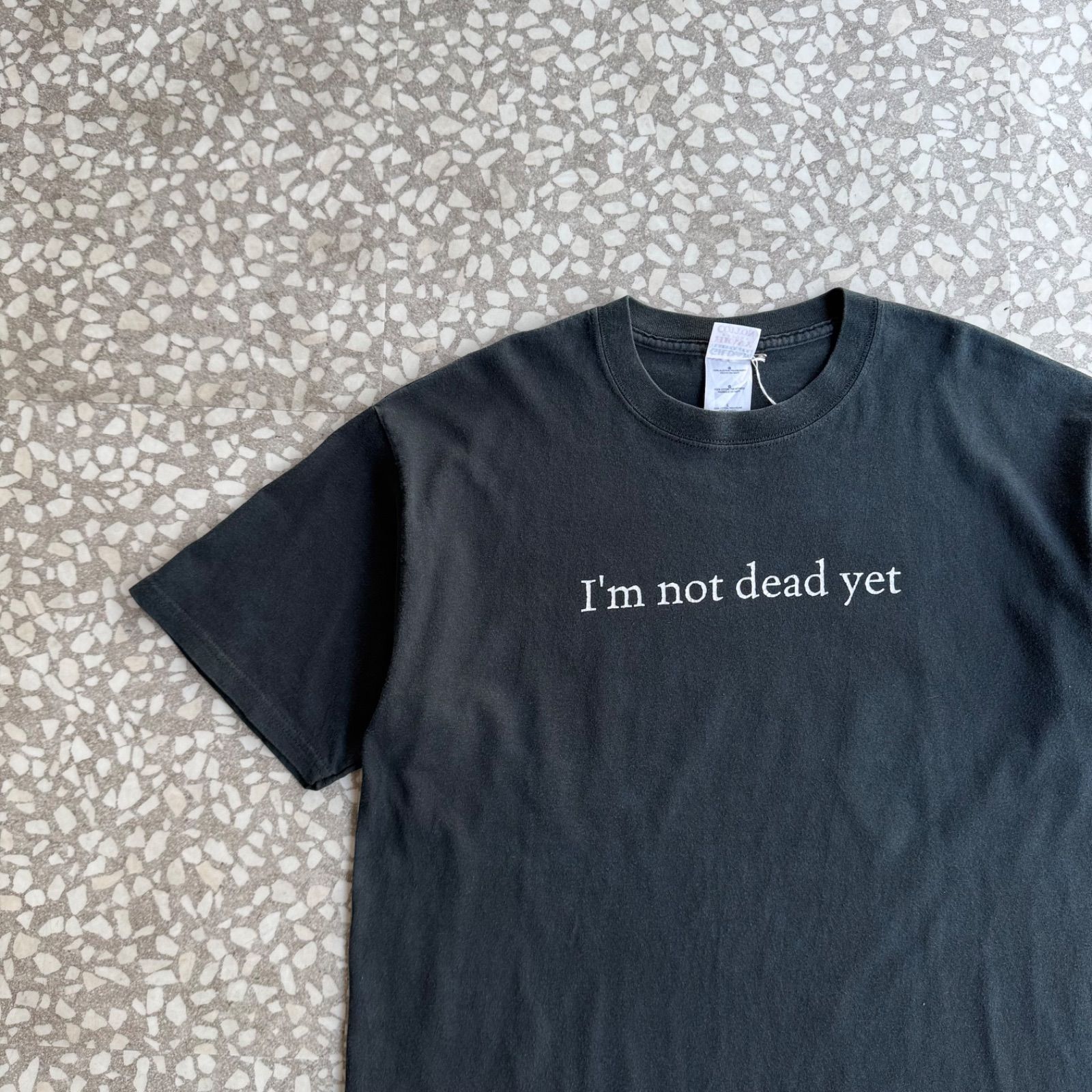 GILDAN / 「lm not dead yet 」 message Tee ヘインズボディ　私はまだ死んでいない　不屈の魂　不死鳥　死者蘇生 フロントプリントTシャツ　ストリート　ユニセックス　 ルフィ　有原みゆ紀　常田 7,957円