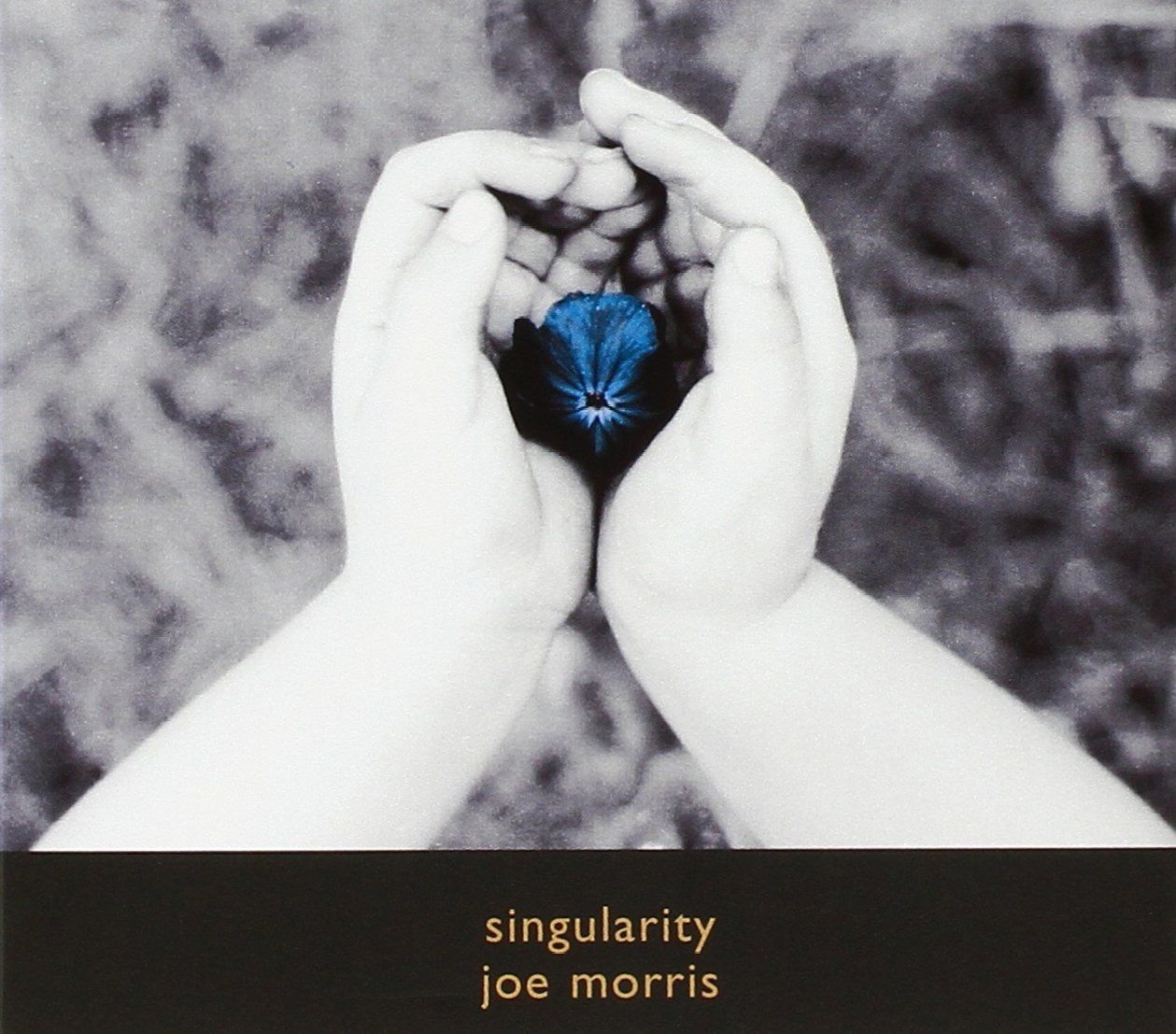 【CD】Singularity