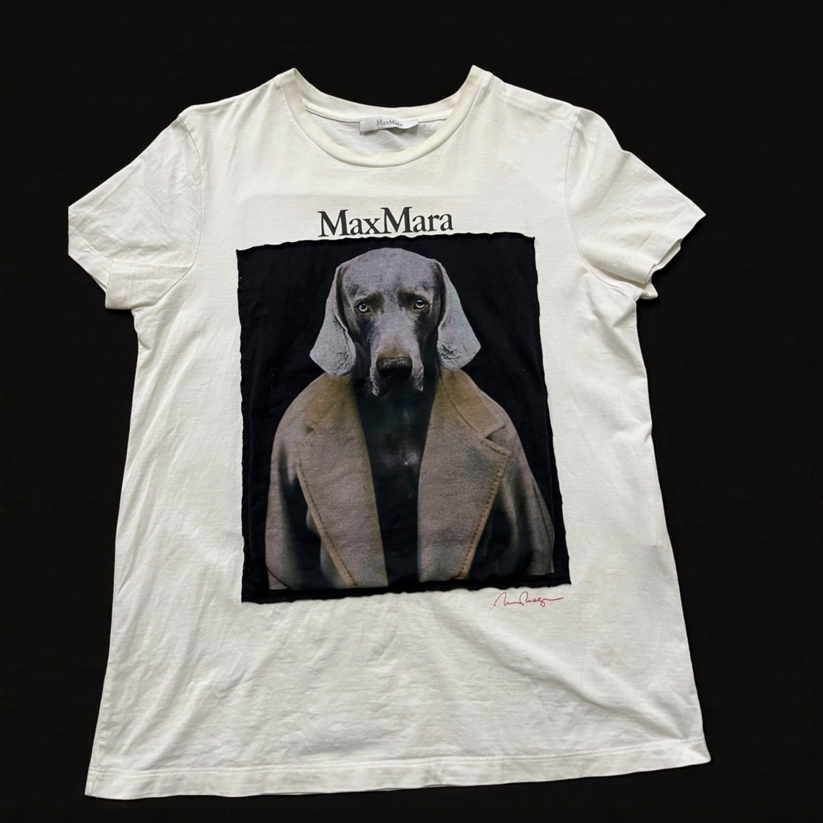 MaxMara 犬プリント CIPRIA Tシャツ Mサイズ マックスマーラ 人気
