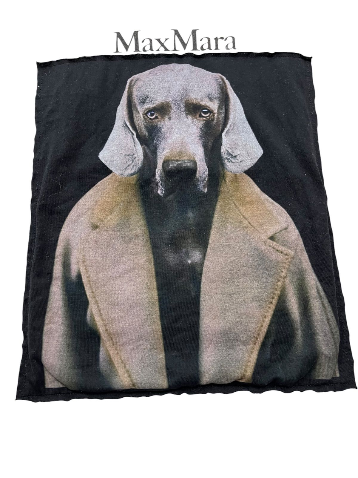 MaxMara 犬プリント CIPRIA Tシャツ Mサイズ マックスマーラ 人気