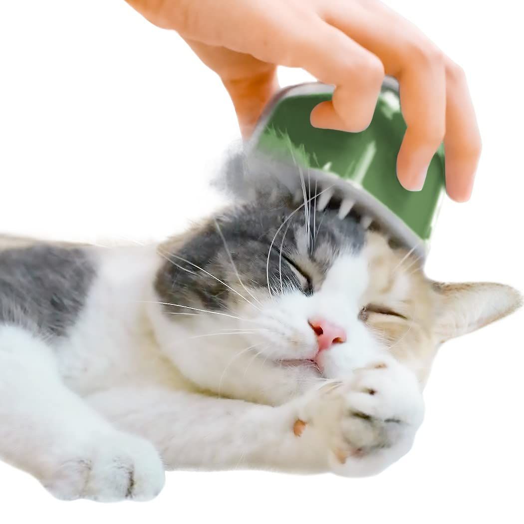 Cheerble 猫 ブラシ 猫ちゃんのご褒美エステ キャンディ・ブラシ（Matcha Green）★ e1ad0f8e